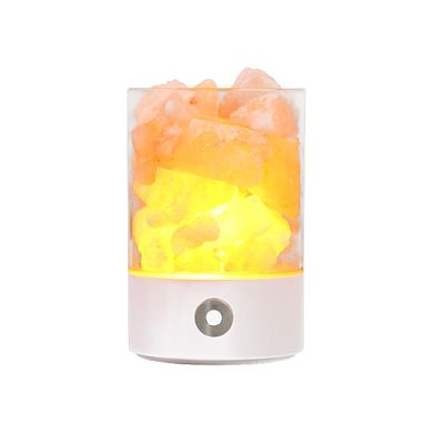 Соляная лампа 2-в-1 Doctor-101 Arish. Солевой светильник ночник с светодиодной подсветкой