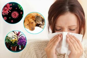 Лучший очиститель воздуха для аллергиков