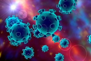 Правила дезінфекції приміщеня від вірусів